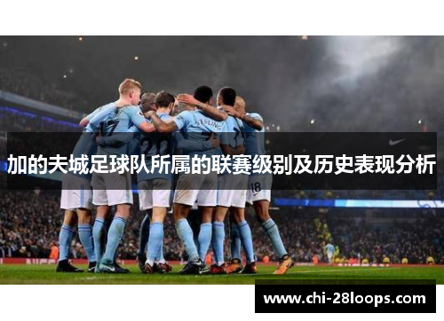 加的夫城足球队所属的联赛级别及历史表现分析