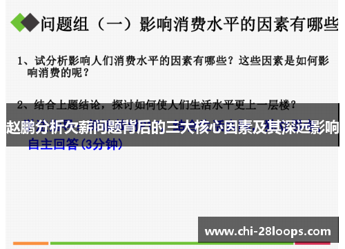 赵鹏分析欠薪问题背后的三大核心因素及其深远影响