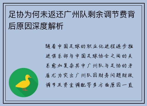 足协为何未返还广州队剩余调节费背后原因深度解析